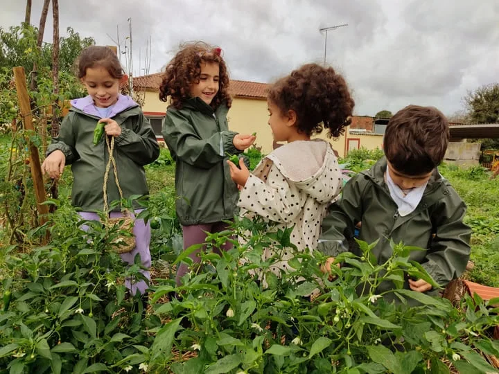 Varios alumnos recollendo e probando verduras da horta